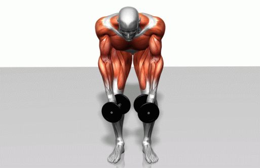 Strength training - Dynamic 3D illustrations