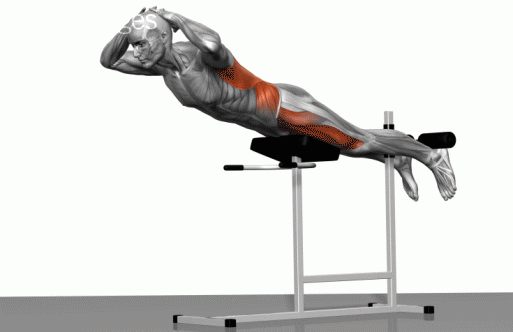 Strength training - Dynamic 3D illustrations