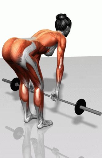 Strength training - Dynamic 3D illustrations