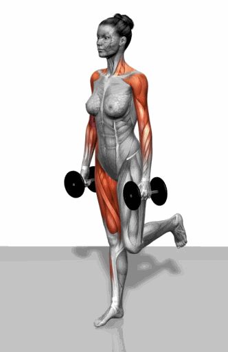 Strength training - Dynamic 3D illustrations