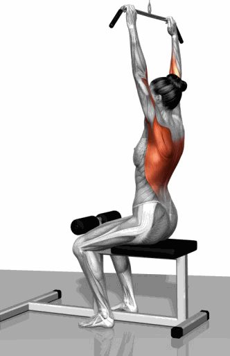 Strength training - Dynamic 3D illustrations