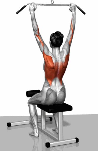 Strength training - Dynamic 3D illustrations