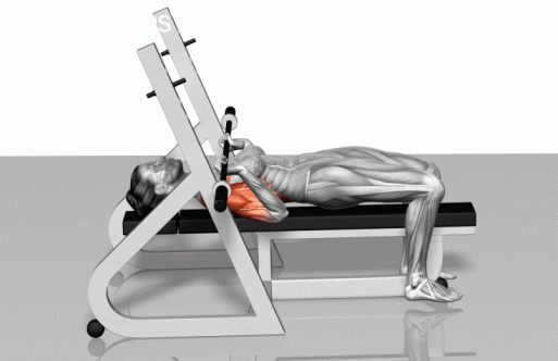 Strength training - Dynamic 3D illustrations