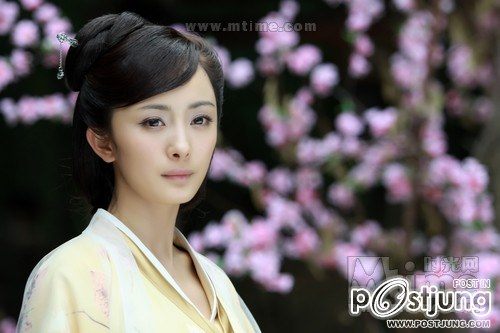 畫皮 Hua Pi 2011