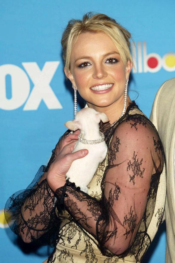 Britney Spears: Then And Now