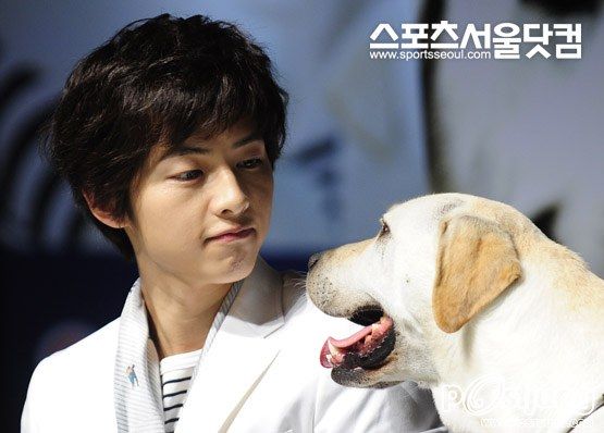 Song Joong Ki หนุ่มเจ้าเสน่ห์