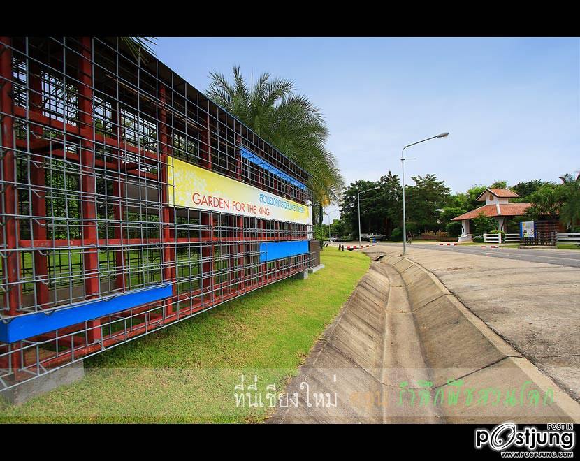 ร่วมนับถอยหลัง สู่ มหกรรมพืชสวนโลก จ.เชียงใหม่2554