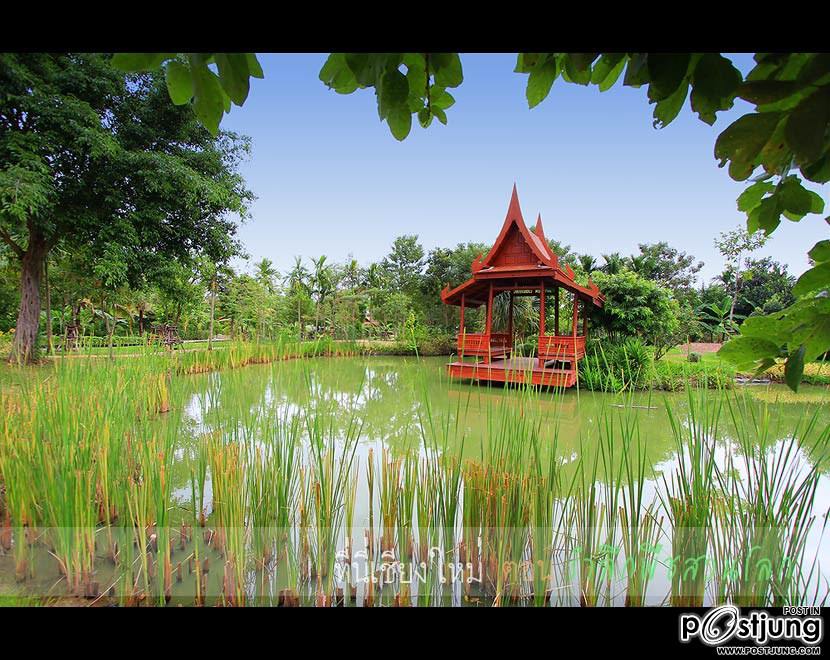 ร่วมนับถอยหลัง สู่ มหกรรมพืชสวนโลก จ.เชียงใหม่2554