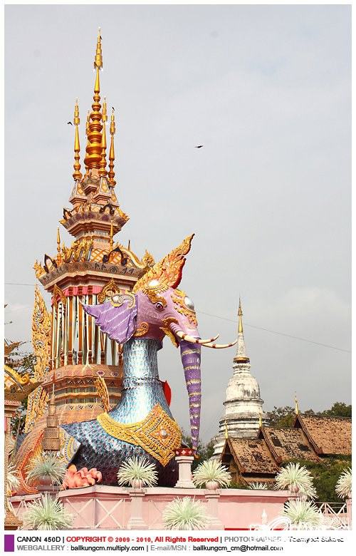 นกหัสดิลิงค์กับพิธีอัญเชิญสรีระสังขารสู่เมรุปราสาท 2
