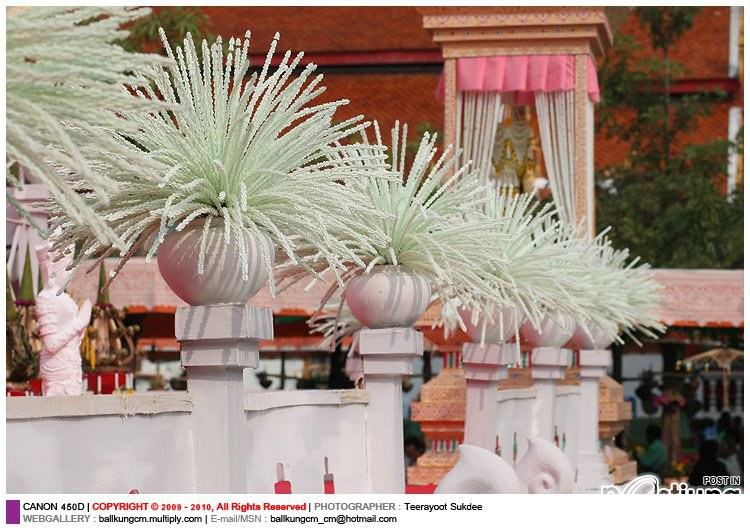 นกหัสดิลิงค์กับพิธีอัญเชิญสรีระสังขารสู่เมรุปราสาท 2