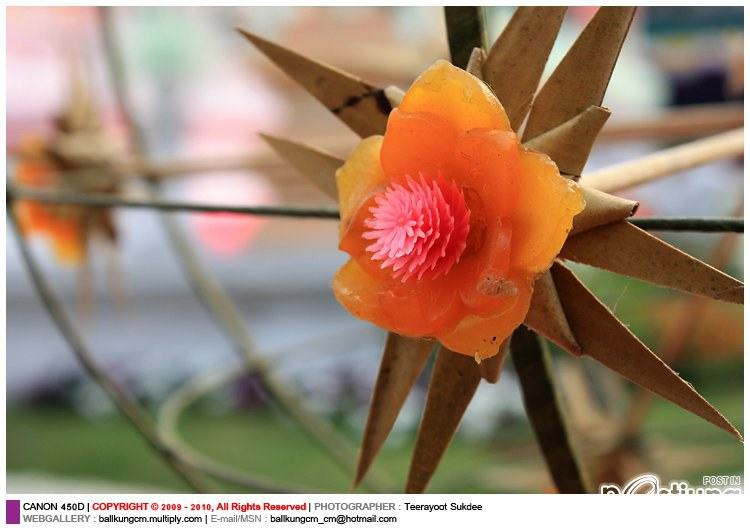 นกหัสดิลิงค์กับพิธีอัญเชิญสรีระสังขารสู่เมรุปราสาท 2