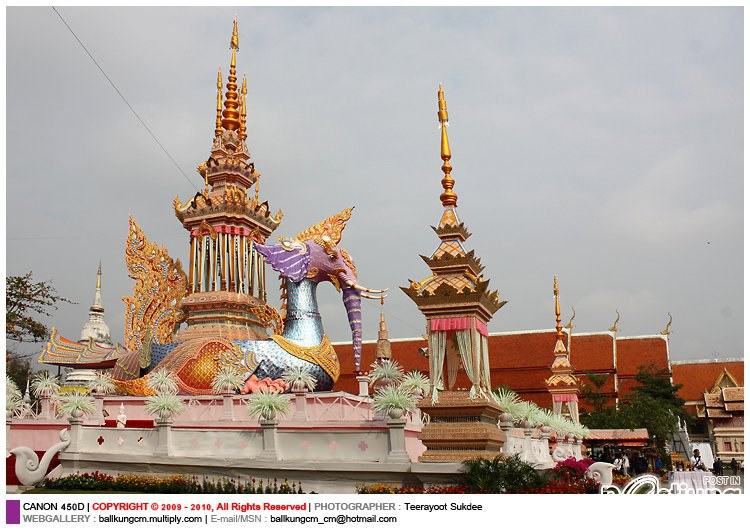 นกหัสดิลิงค์กับพิธีอัญเชิญสรีระสังขารสู่เมรุปราสาท 2