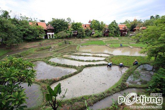 Mandarin Oriental Dhara Dhevi Hotel 1 ในโรงแรมที่ได้รับการจับตามองมากที่สุดประจำปี พ.ศ. 2554