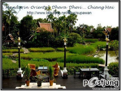 Mandarin Oriental Dhara Dhevi Hotel 1 ในโรงแรมที่ได้รับการจับตามองมากที่สุดประจำปี พ.ศ. 2554