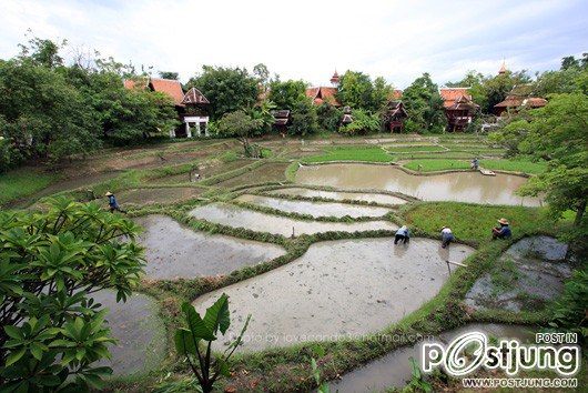 Mandarin Oriental Dhara Dhevi Hotel 1 ในโรงแรมที่ได้รับการจับตามองมากที่สุดประจำปี พ.ศ. 2554