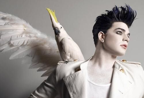 ข่าวล่าสุดจากแม่สาว Adam Lambert