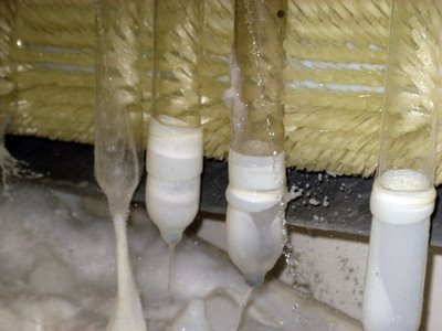 Inside a CONDOM Factory :: กว่าจะได้มาเป็นถุงยาง
