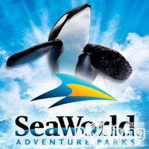 อันดับ 10 ซีเวิลด์ (SeaWorld)