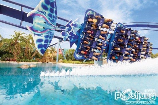 อันดับ 4. ดิสคัฟเวอรี โคฟ (Discovery Cove)
