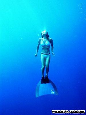 10. ดำน้ำที่ Dean’s Blue Hole ในบาฮามาส