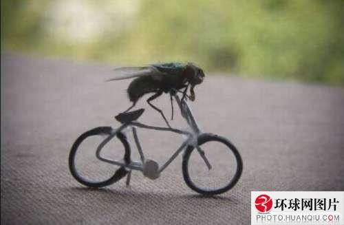 รวมภาพเฮฮา น่ารัก สไตล์สัตว์ทั้งหลาย