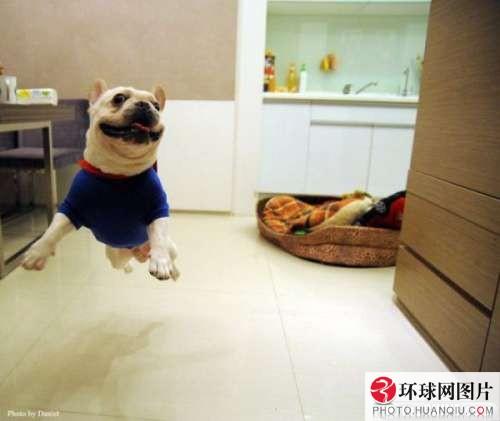 รวมภาพเฮฮา น่ารัก สไตล์สัตว์ทั้งหลาย