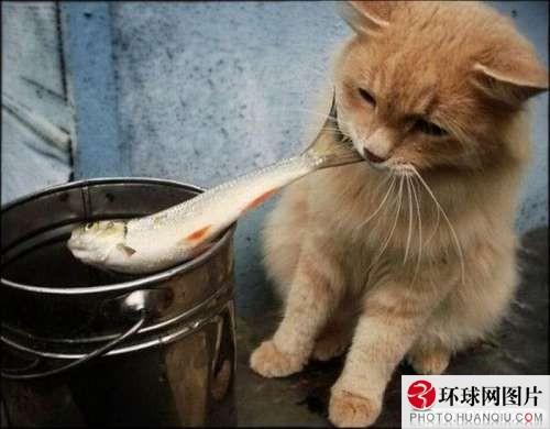 รวมภาพเฮฮา น่ารัก สไตล์สัตว์ทั้งหลาย