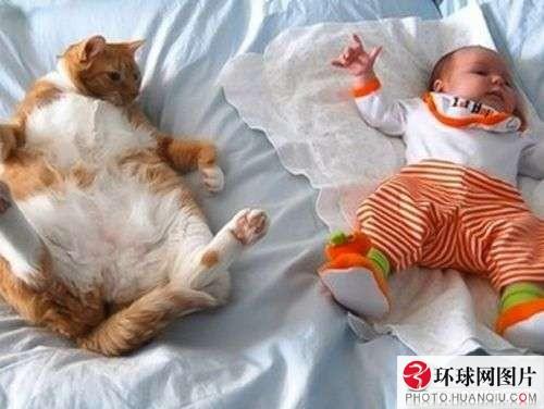 รวมภาพเฮฮา น่ารัก สไตล์สัตว์ทั้งหลาย