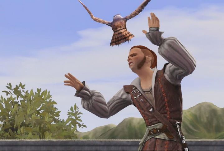 The Sims Medieval