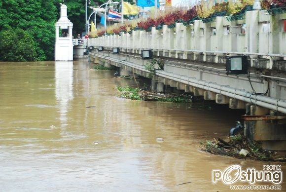 เชียงใหม่น้ำท่วม 29 กันยายน 2554
