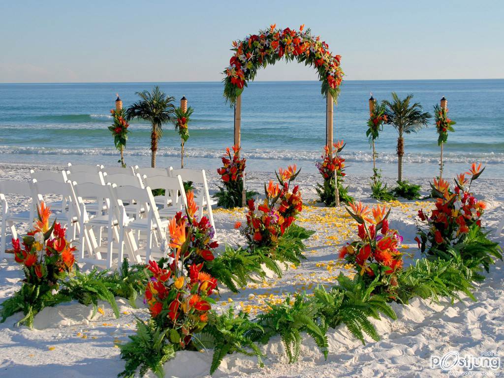 Beach Wedding