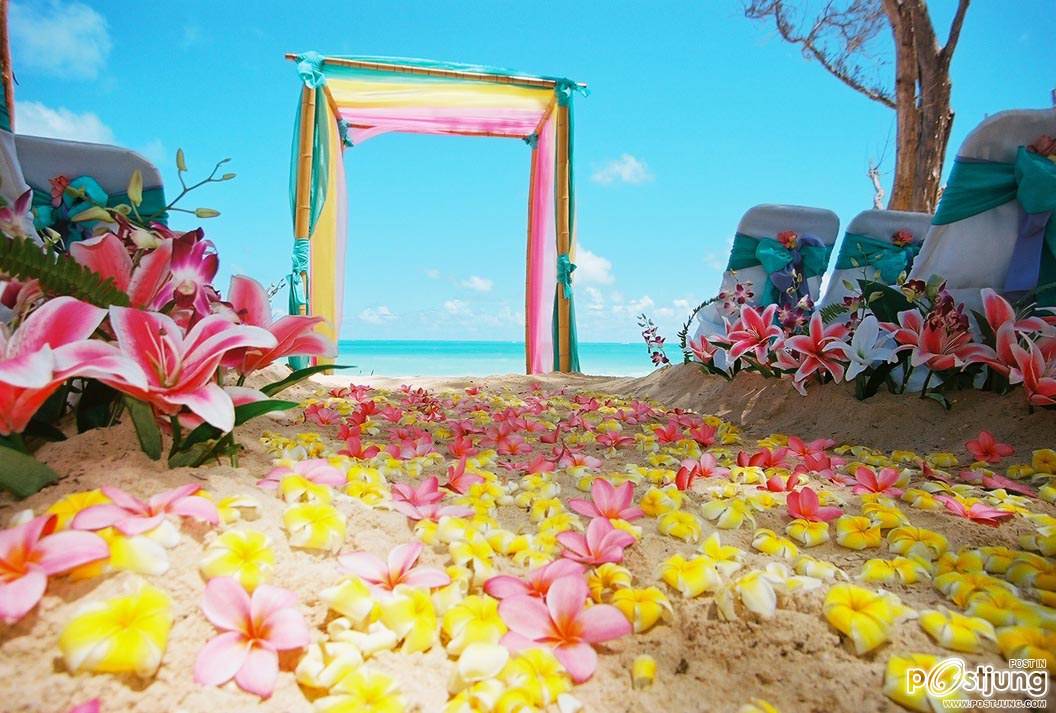 Beach Wedding