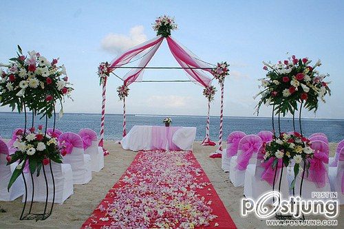 Beach Wedding