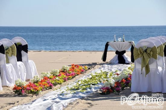 Beach Wedding
