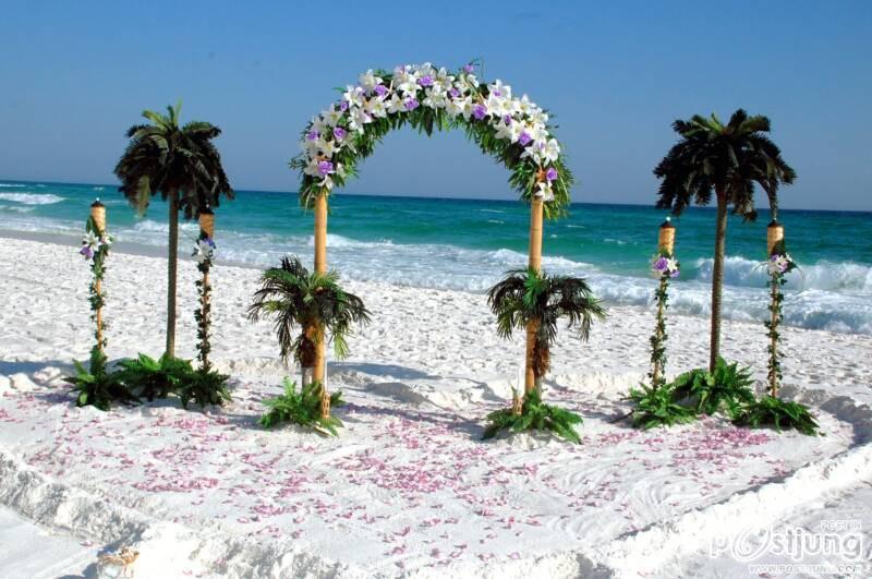 Beach Wedding