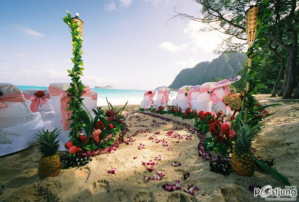 Beach Wedding