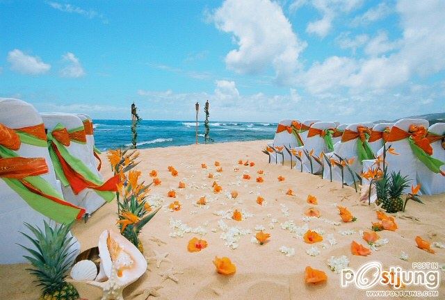 Beach Wedding