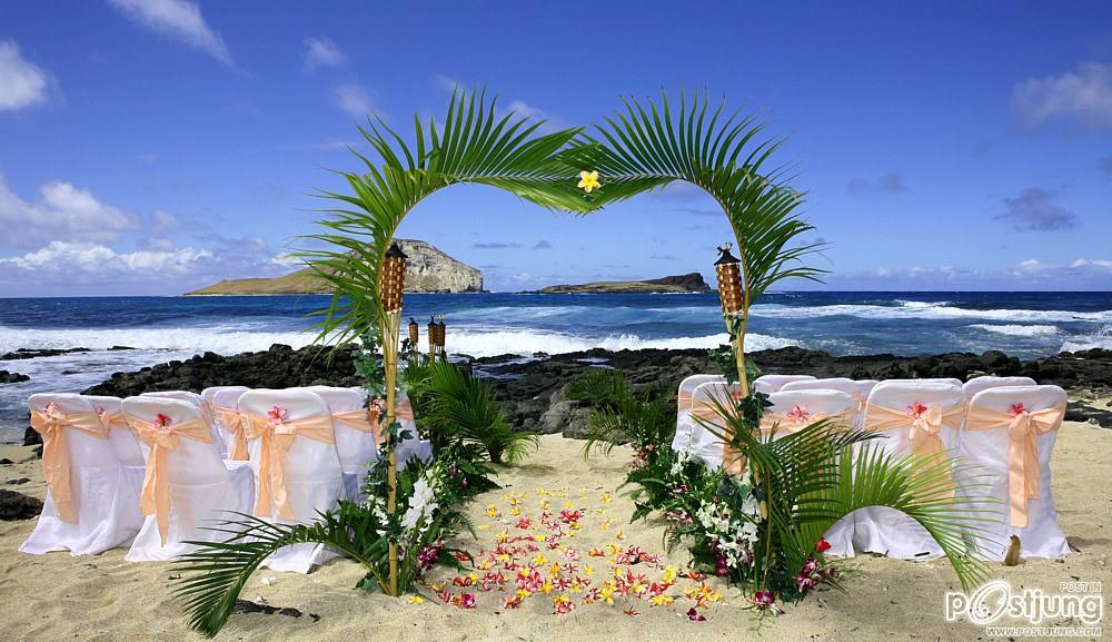 Beach Wedding