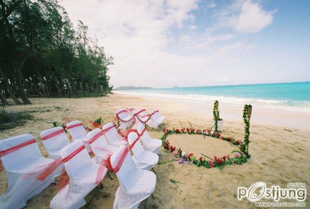 Beach Wedding