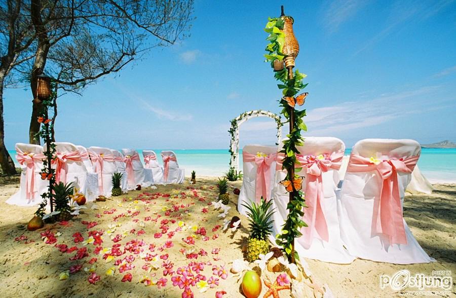 Beach Wedding