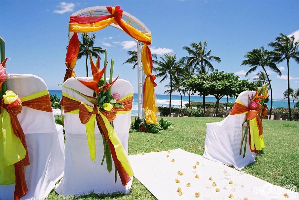 Beach Wedding