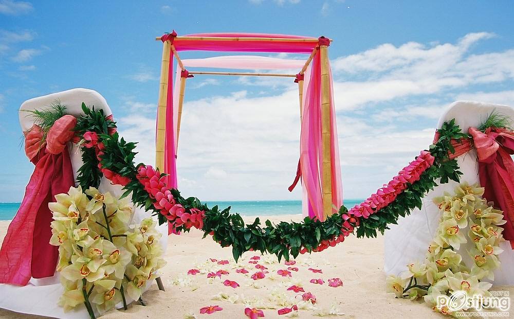 Beach Wedding