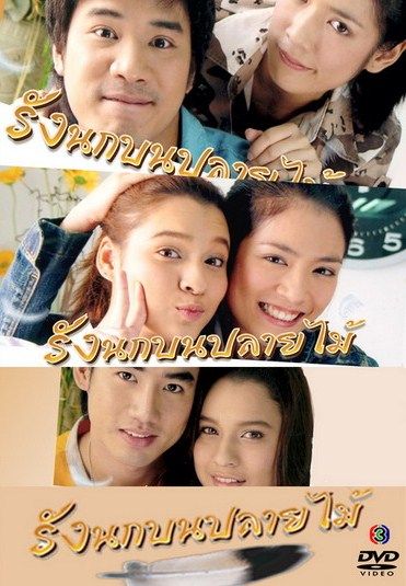 รังนกบนปลายไม้