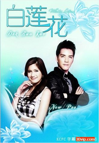 ดอกบัวขาว