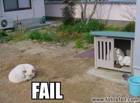 Fail กับ สัตว์