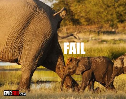 Fail กับ สัตว์