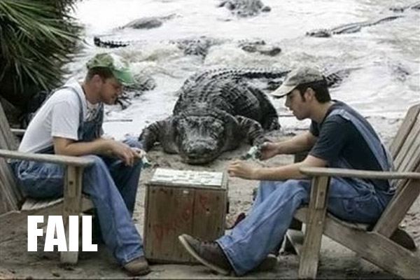 Fail E-ver