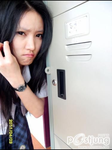 แพนด้า