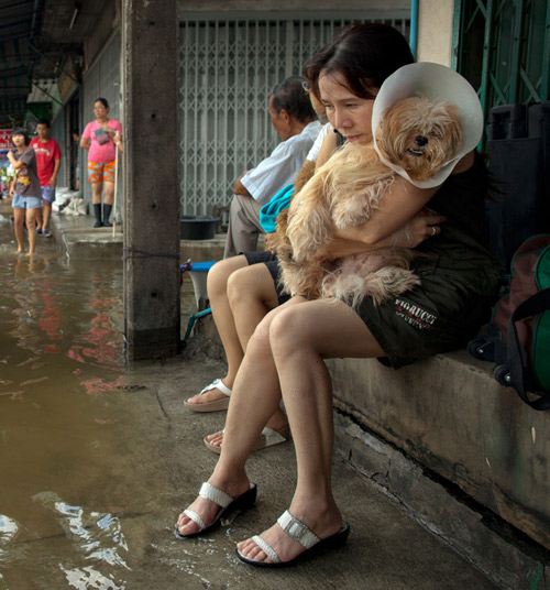 ประมวลภาพ น้ำท่วมกรุงเทพ จากสือเมืองนอก