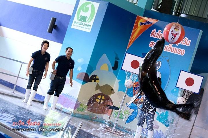 [AF4] ณัฐ ศักดาทร @ รายการ Mission Seed Saad ตอน SEED Animals